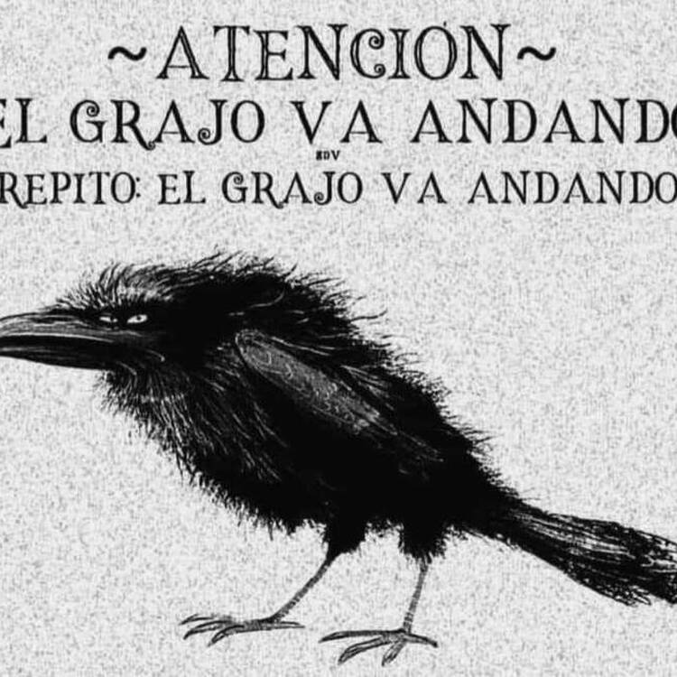 Foto de perfil de Vicente