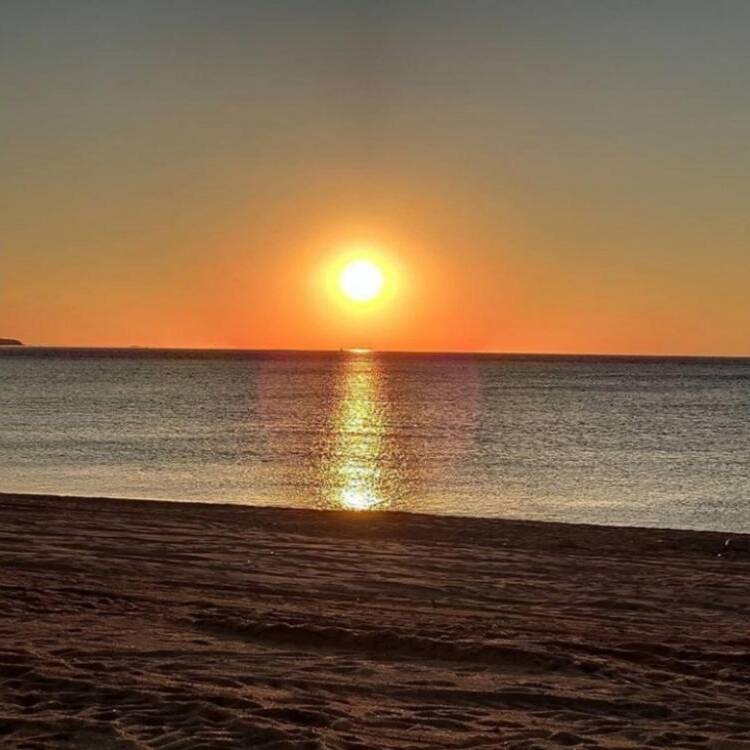 Foto de perfil de Pdf