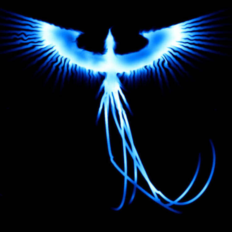 Foto de perfil de Fenix