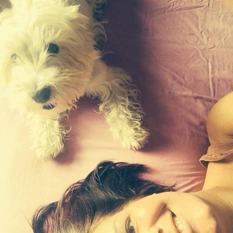 Foto de perfil