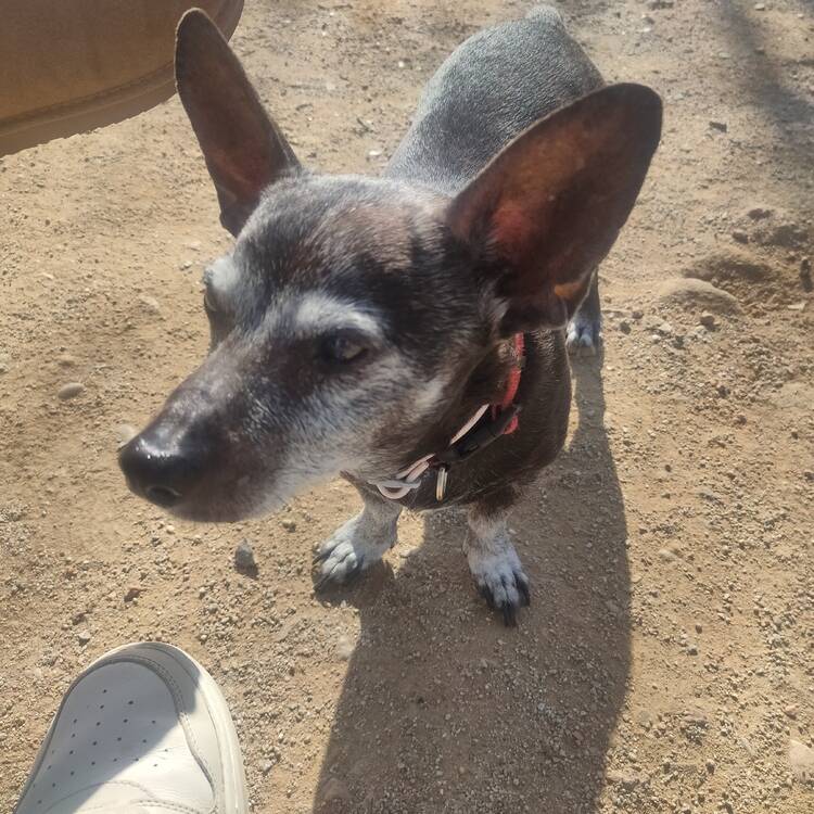 Foto de perfil