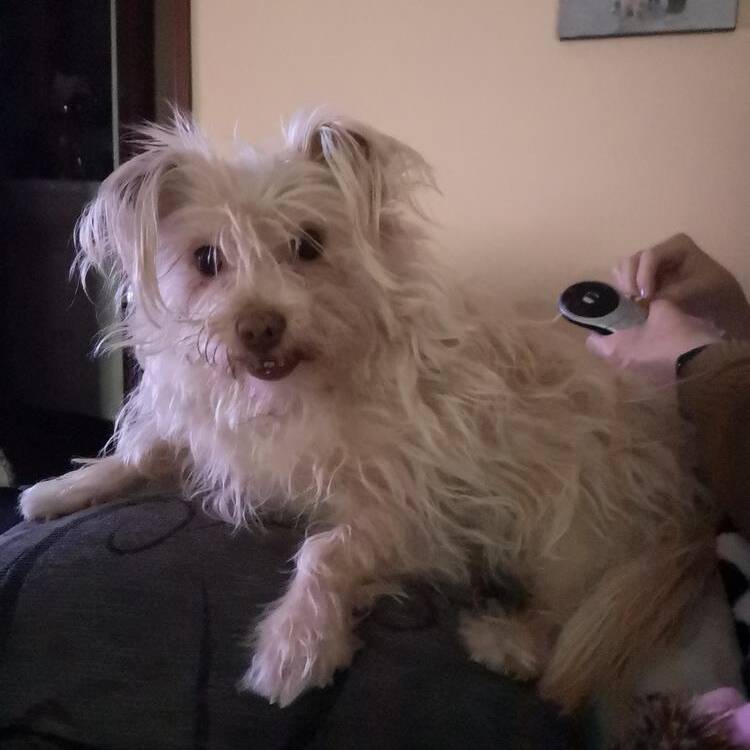 Foto de perfil de Jordi