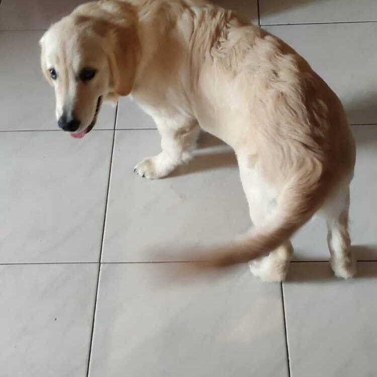 Foto de perfil de Sara