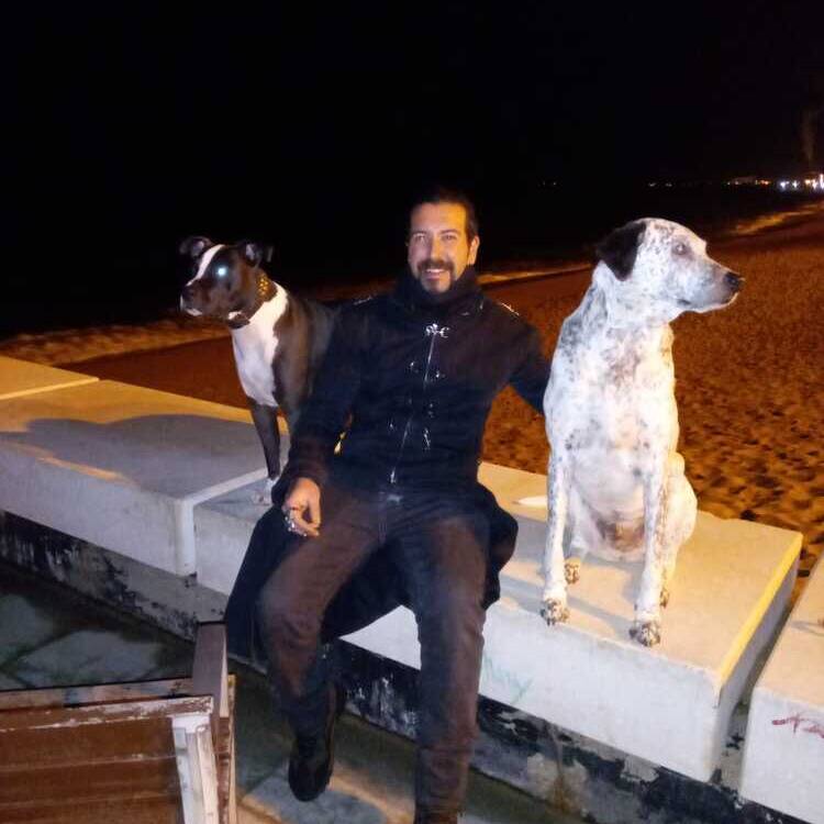 Foto de perfil de David