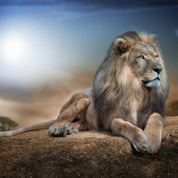 Foto de perfil de Manuel jimenez