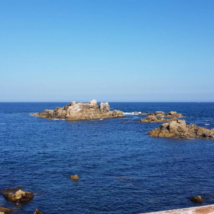 Foto de perfil de Dolores