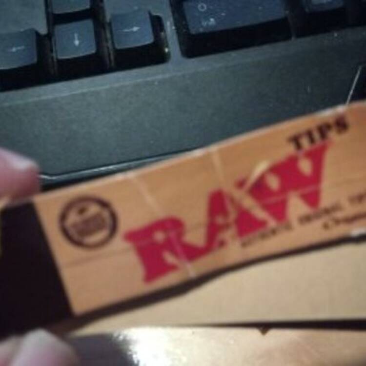 Foto de perfil de Eddy G.