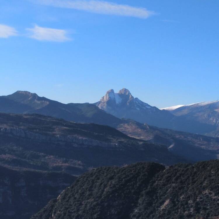 Foto de perfil de Carles