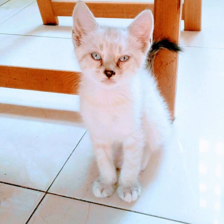 Foto de perfil de maria