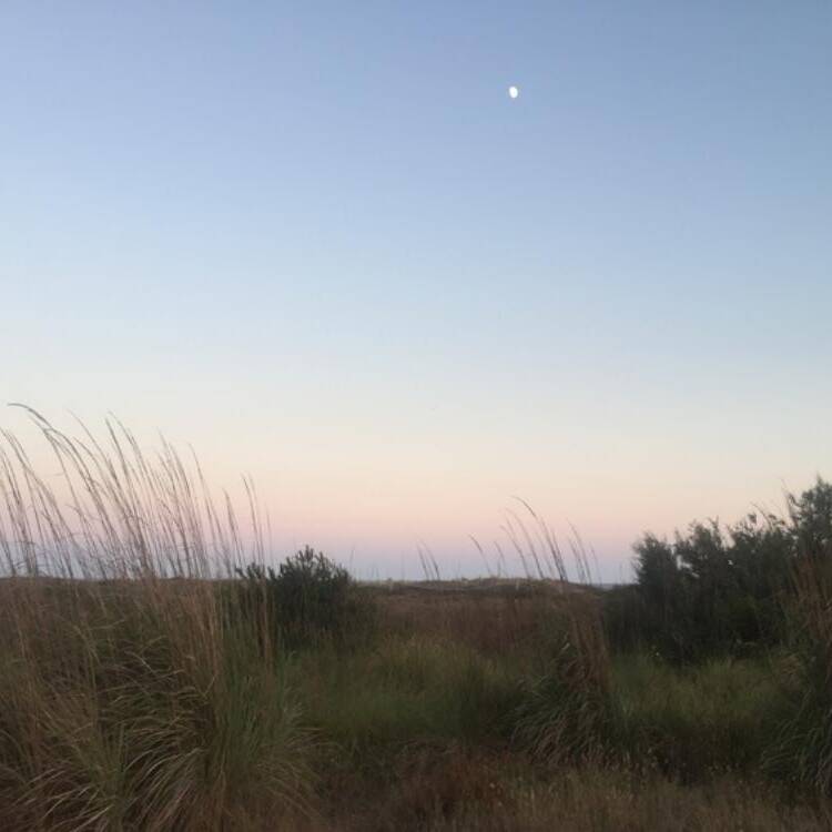 Foto de perfil de Mar