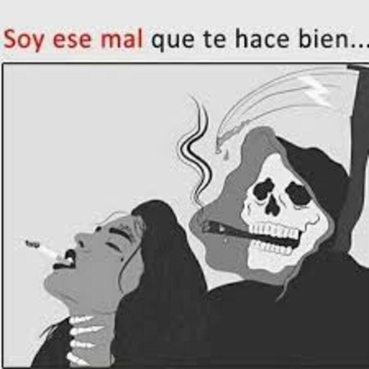 Foto de perfil de Marc