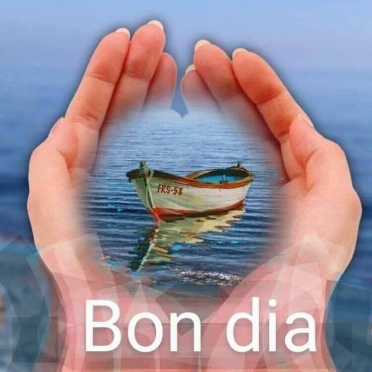 Foto de perfil de Azul