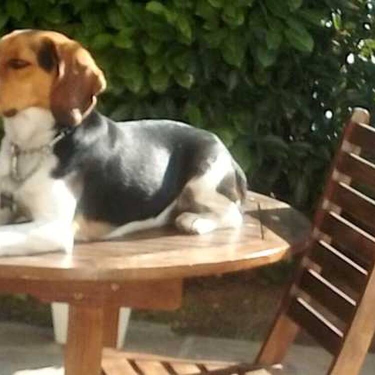 Foto de perfil de Carla