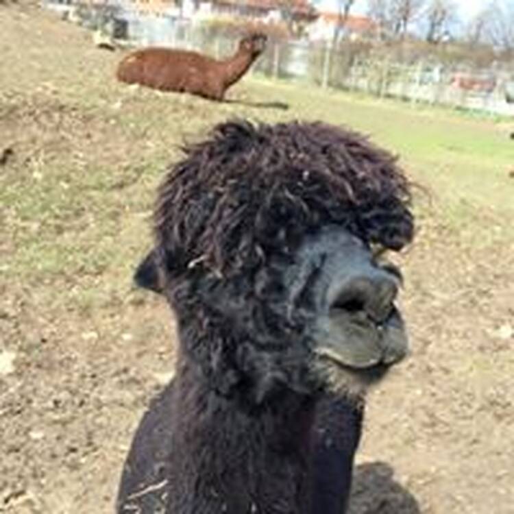 Foto de perfil de Kriss Sn