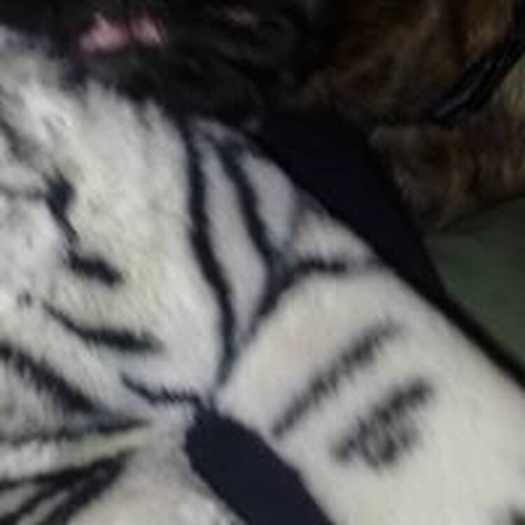 Foto de perfil de Edgar Brooks