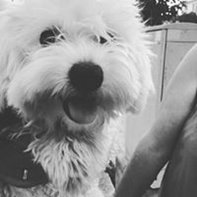Foto de perfil de Sergi Carné