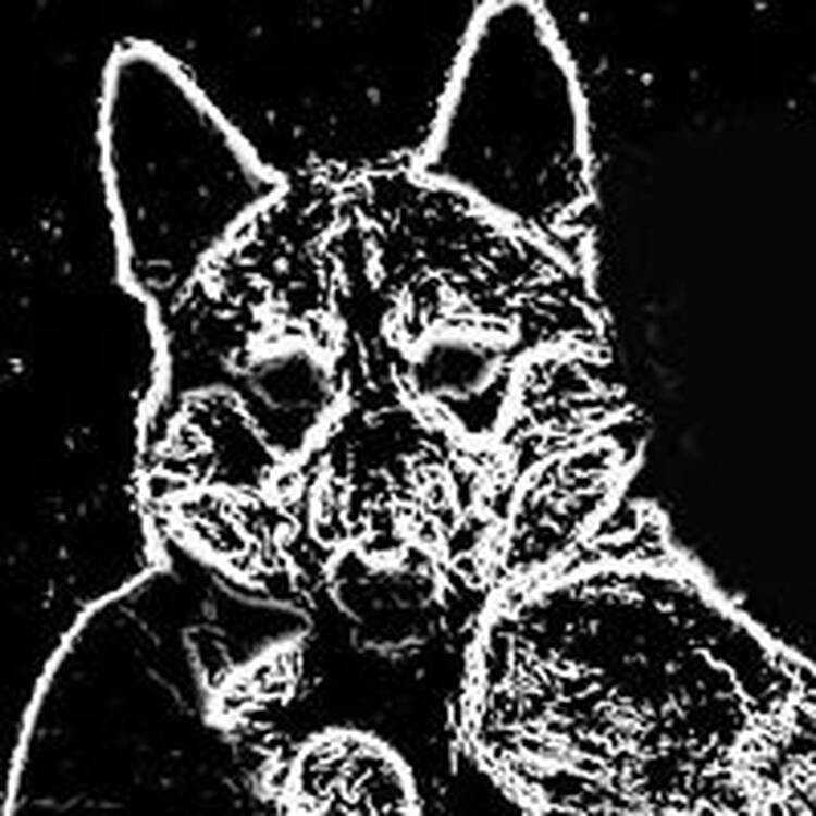 Foto de perfil de Xaum Xaxi