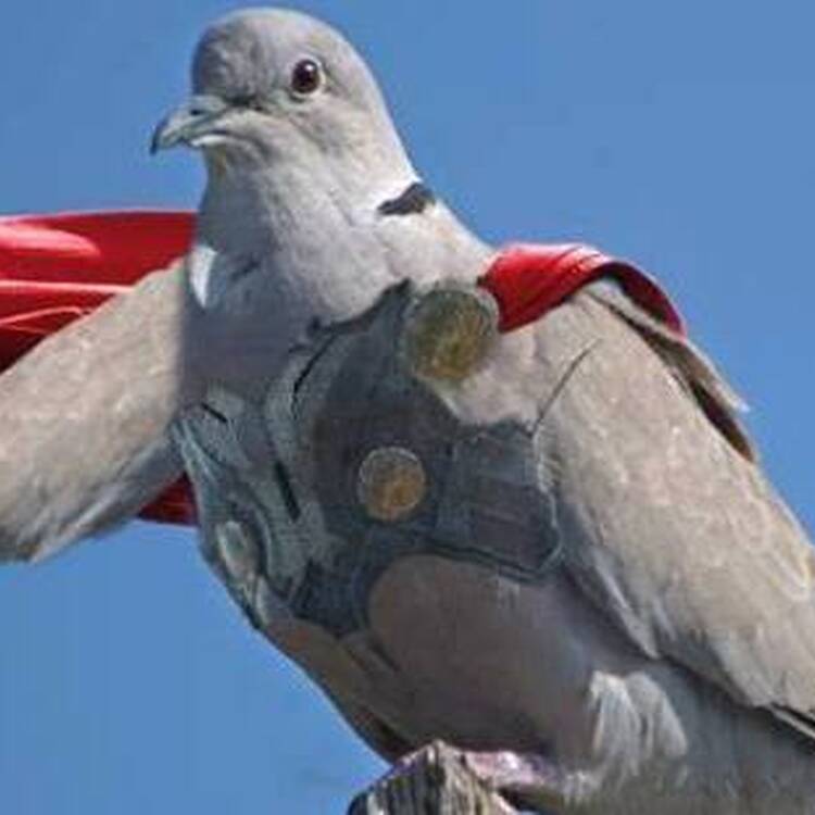 Foto de perfil de LValti