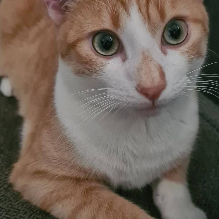 Foto de perfil de Bil