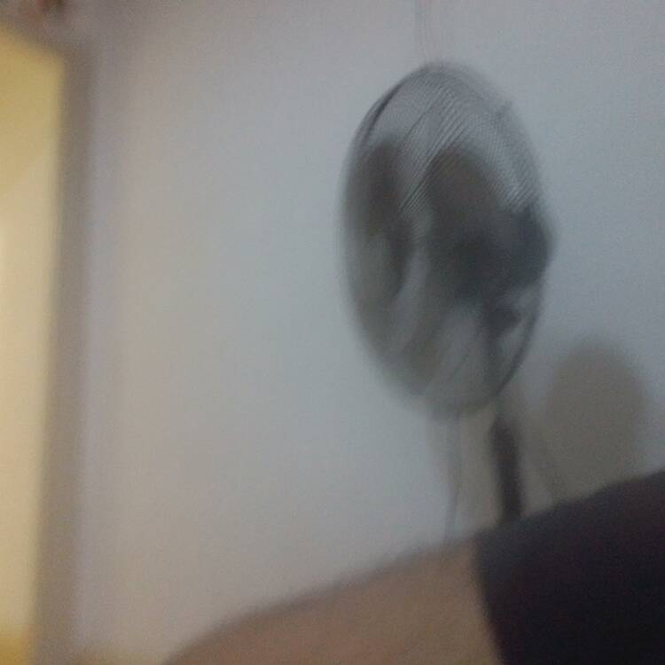 Foto de perfil de Josue