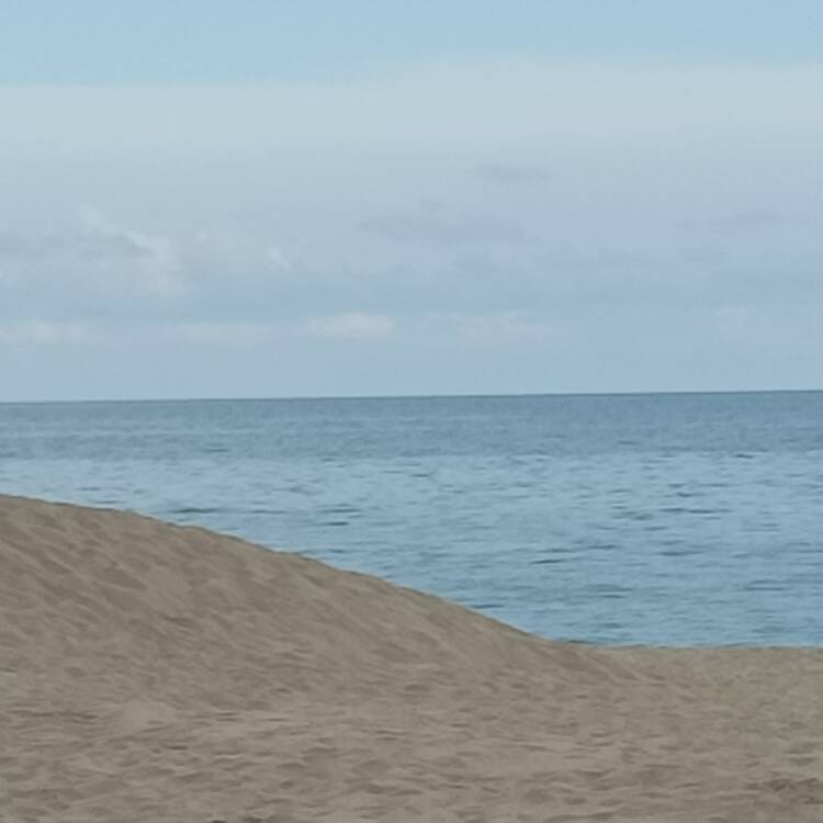 Foto de perfil de Flor