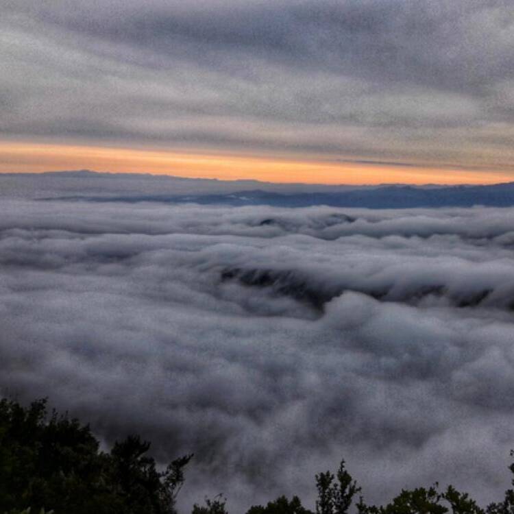 Foto de perfil de Blanca