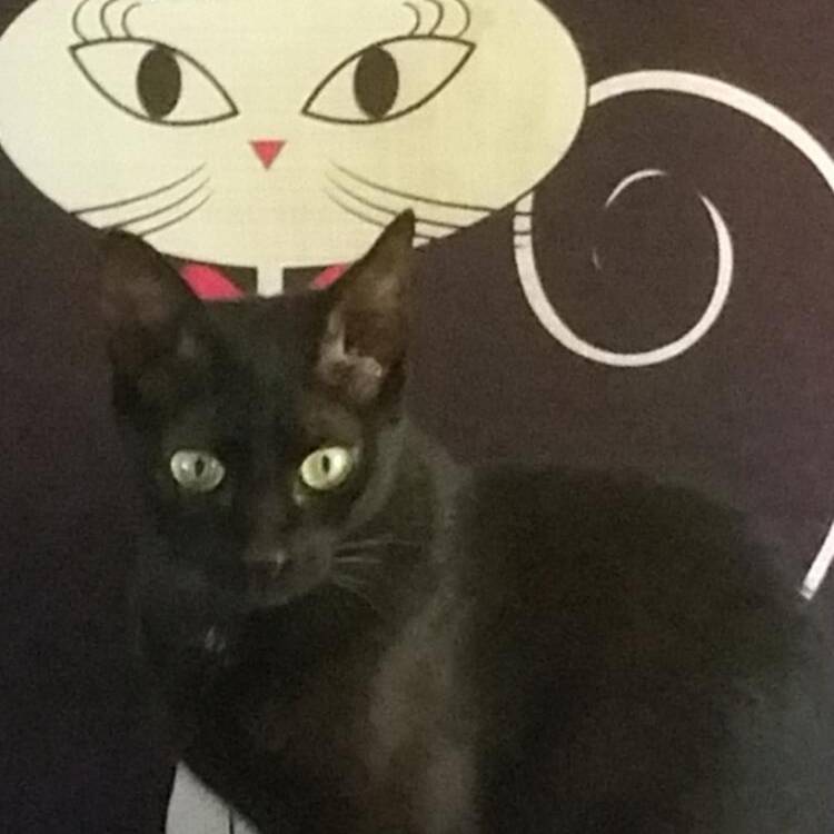 Foto de perfil de Esther