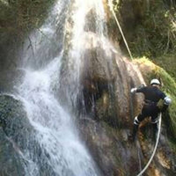 Foto de perfil de Lenam Paladi