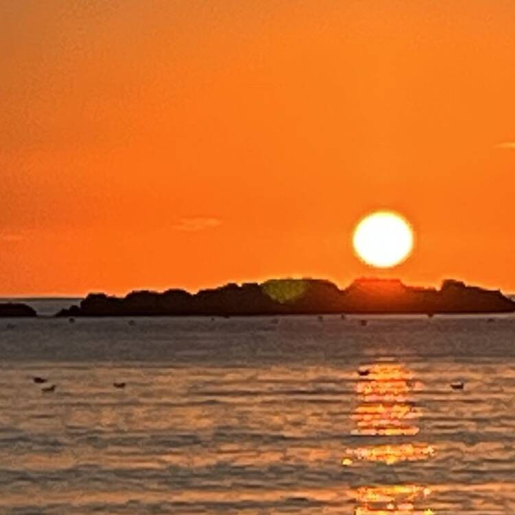 Foto de perfil de montse