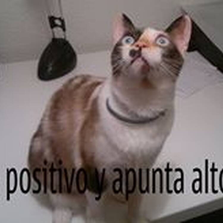Foto de perfil de Sira Sn Sn