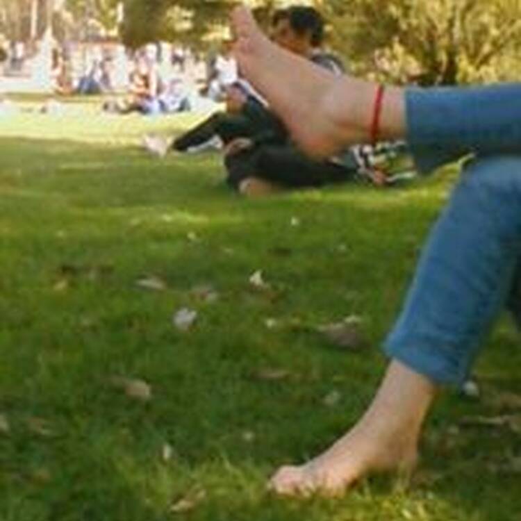 Foto de perfil de Dolors P Caparros