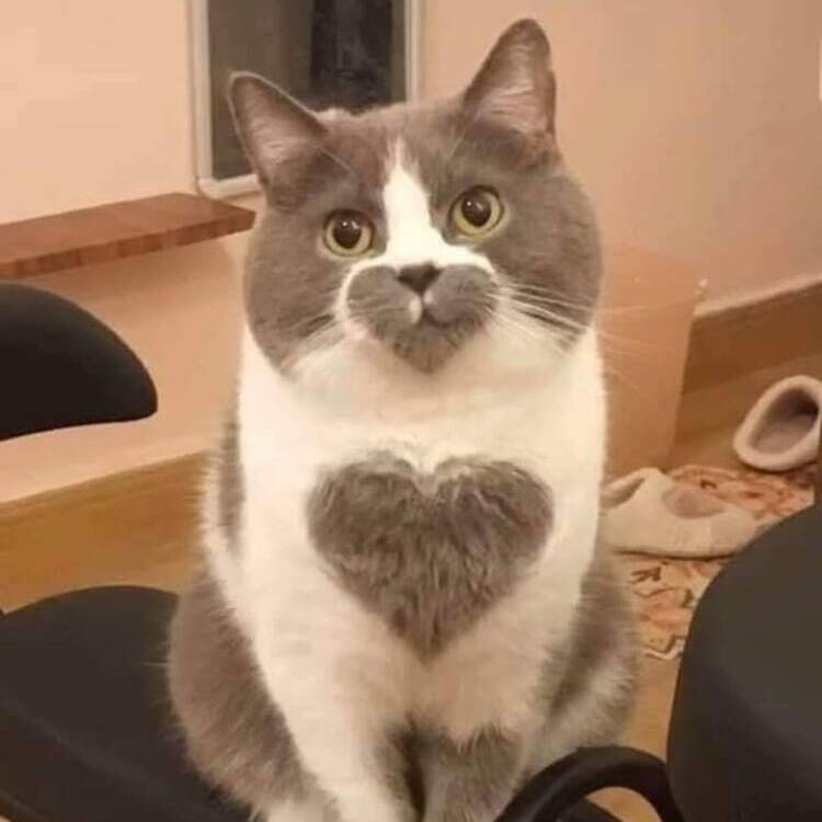 Foto de perfil de Deli