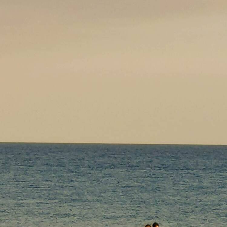 Foto de perfil de Carmen