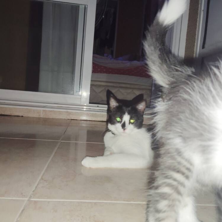 Foto de perfil
