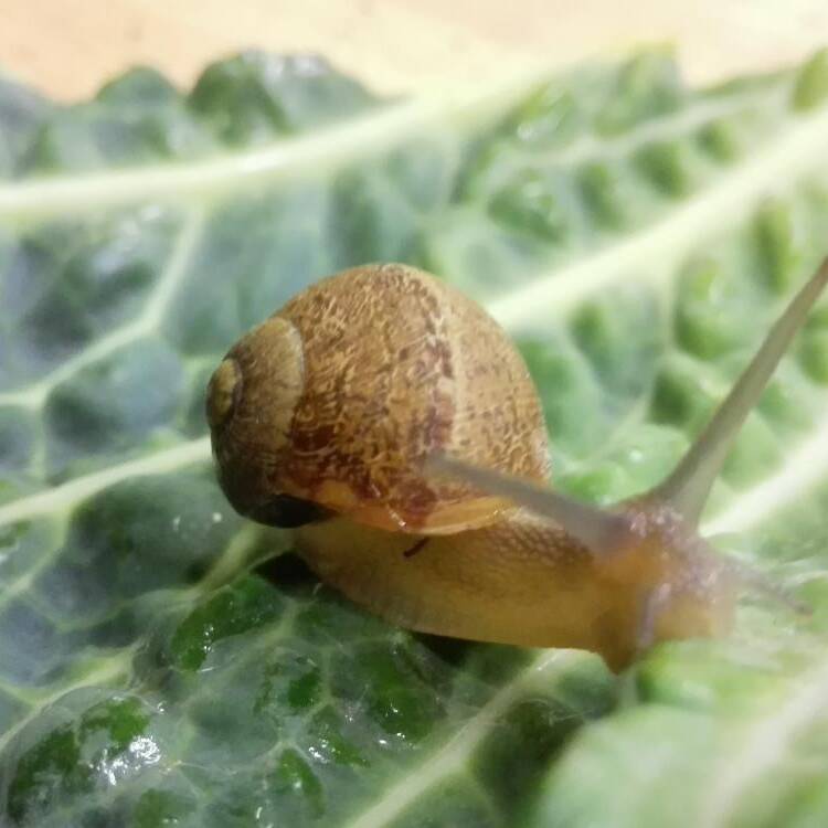 Foto de perfil de kumkuaid