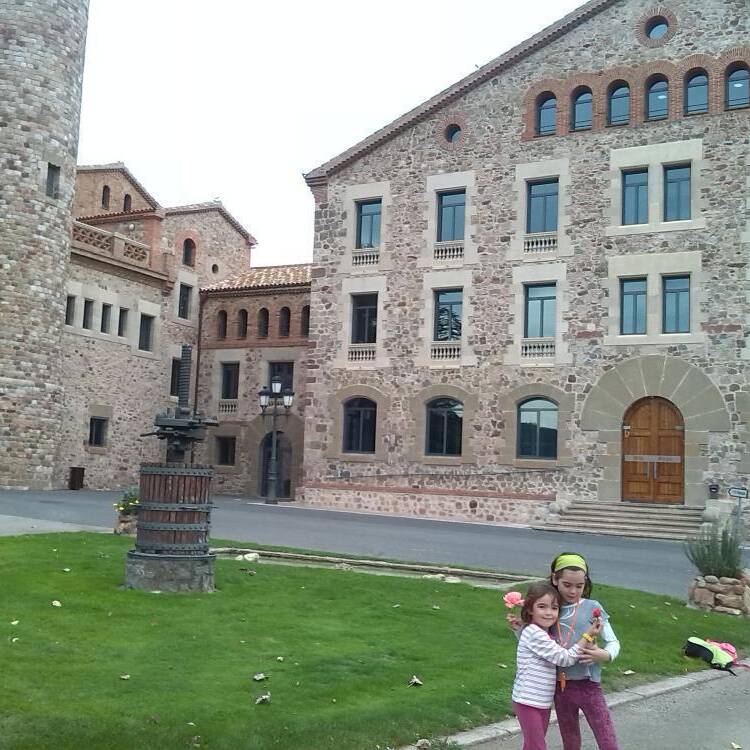 Foto de perfil de aurea