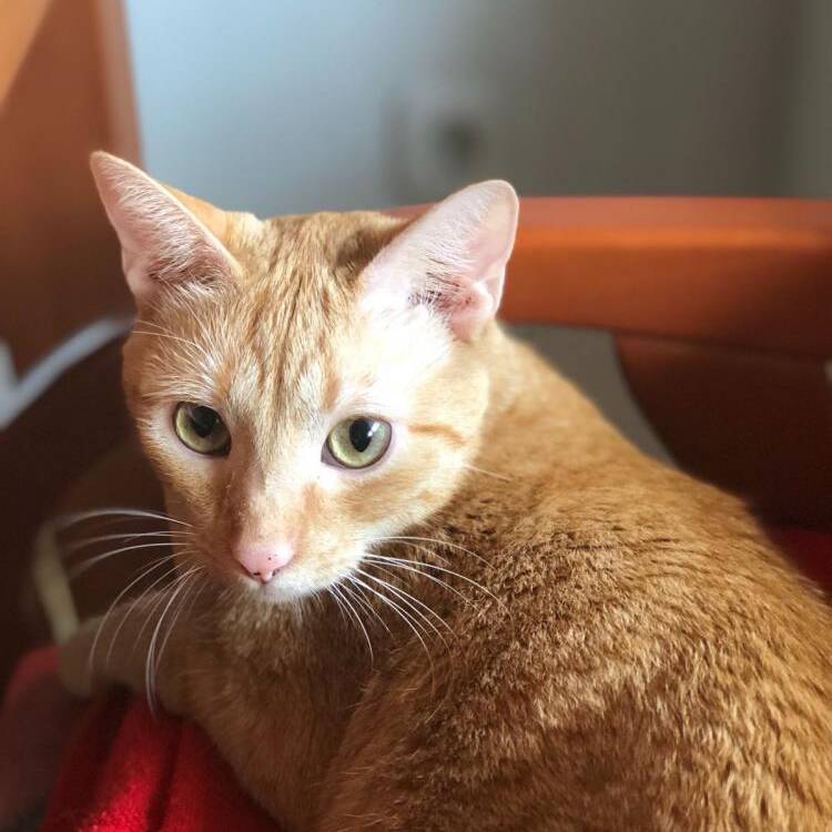 Foto de perfil de Jybya