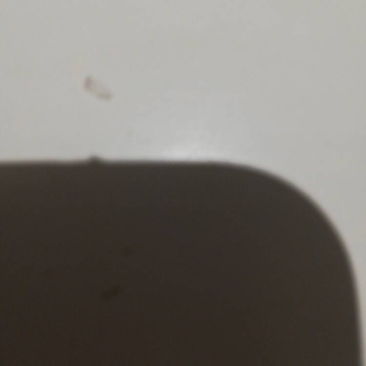 Foto de perfil de Monica