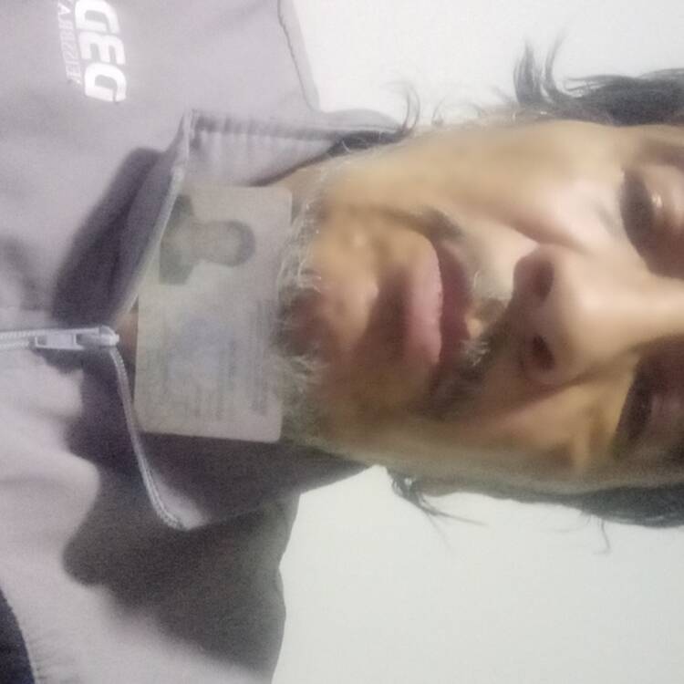 Foto de perfil de Nelson