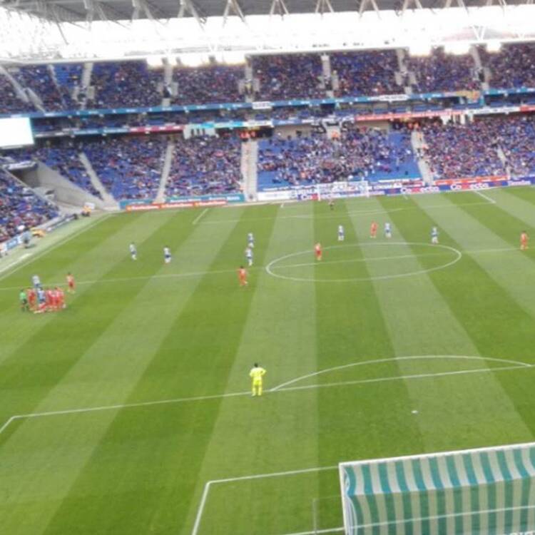 Foto de perfil de Pistu
