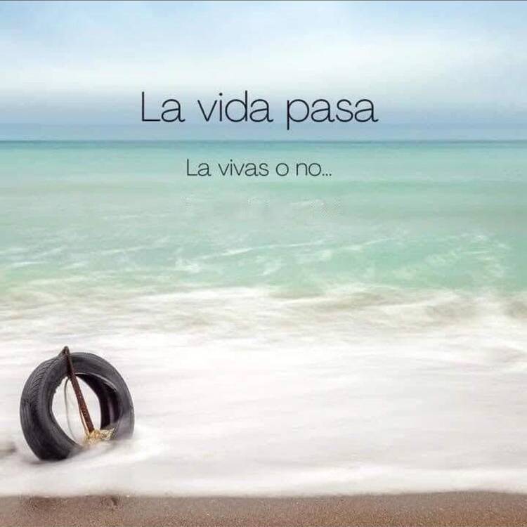 Foto de perfil de Andrea