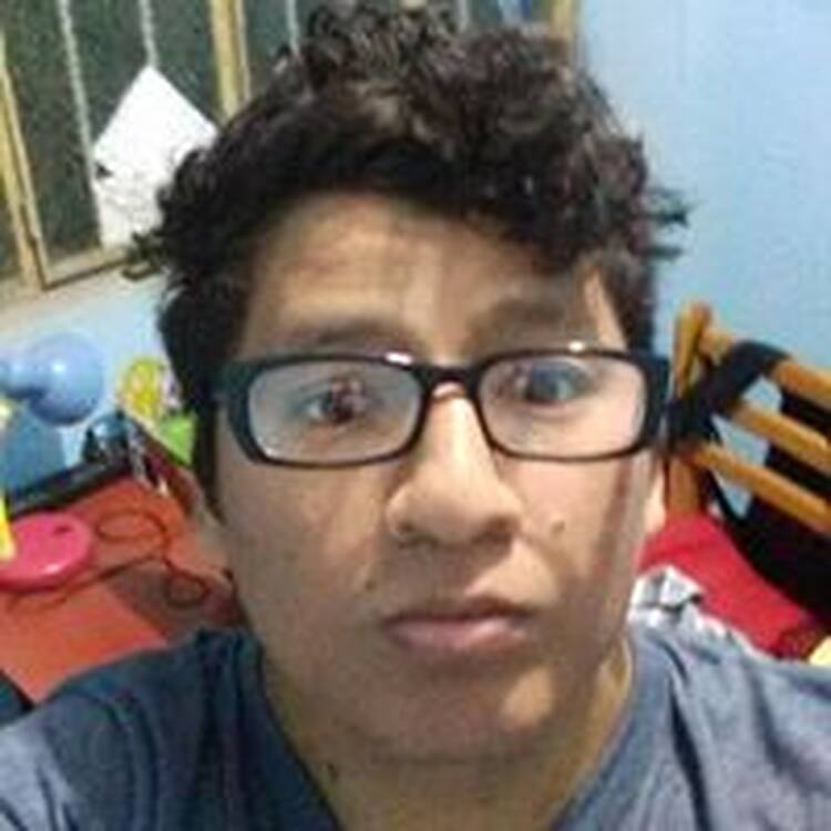 Foto de perfil de David Dlv Callupe