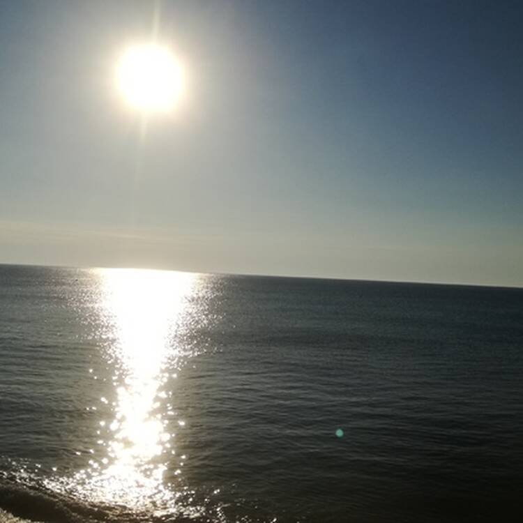 Foto de perfil de Merce