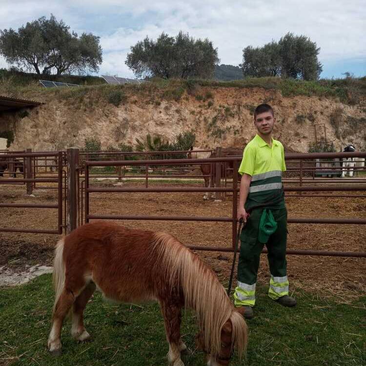 Foto de perfil