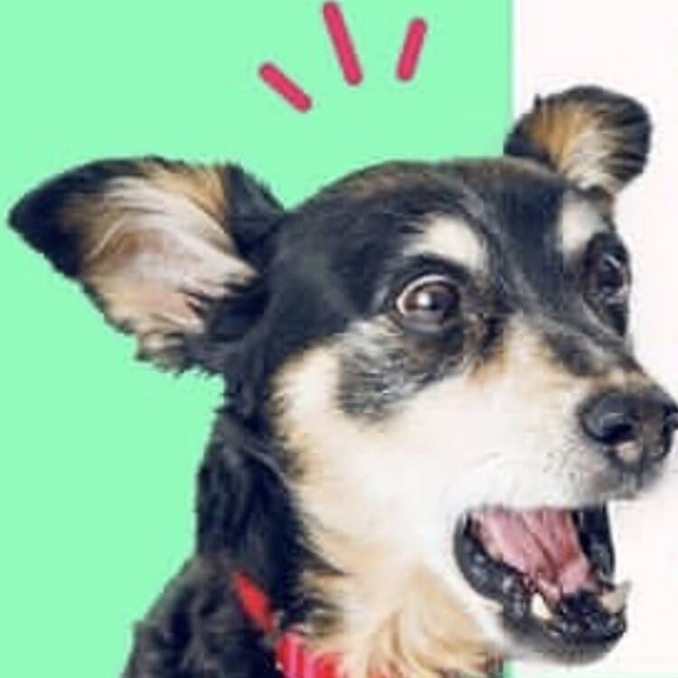 Foto de perfil de Raaa
