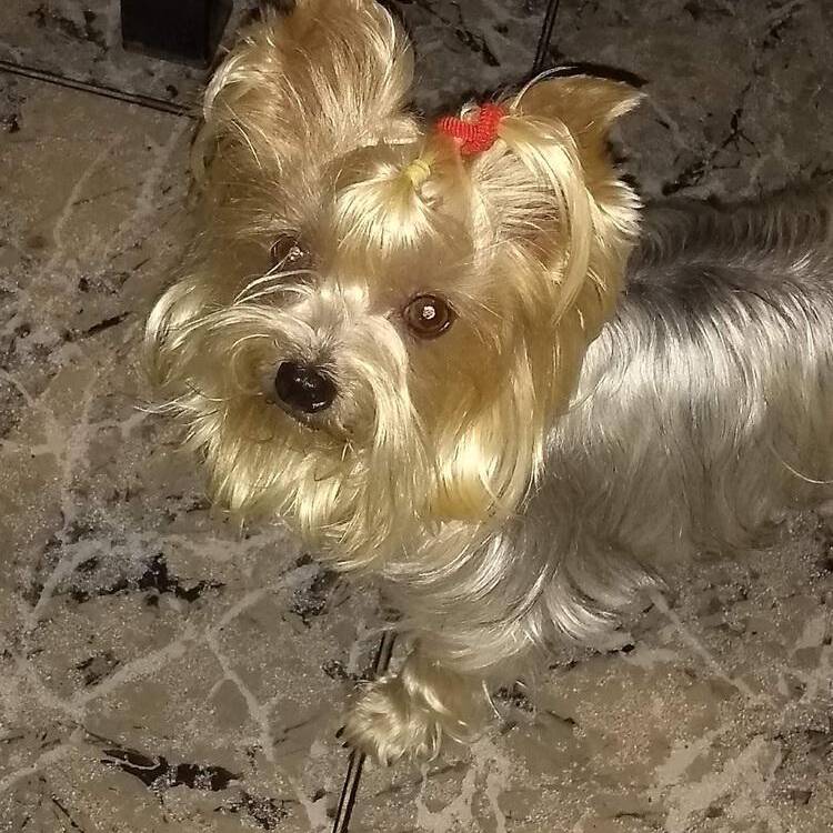 Foto de perfil
