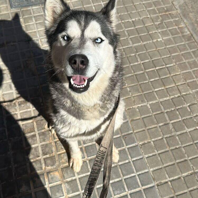 Foto de perfil