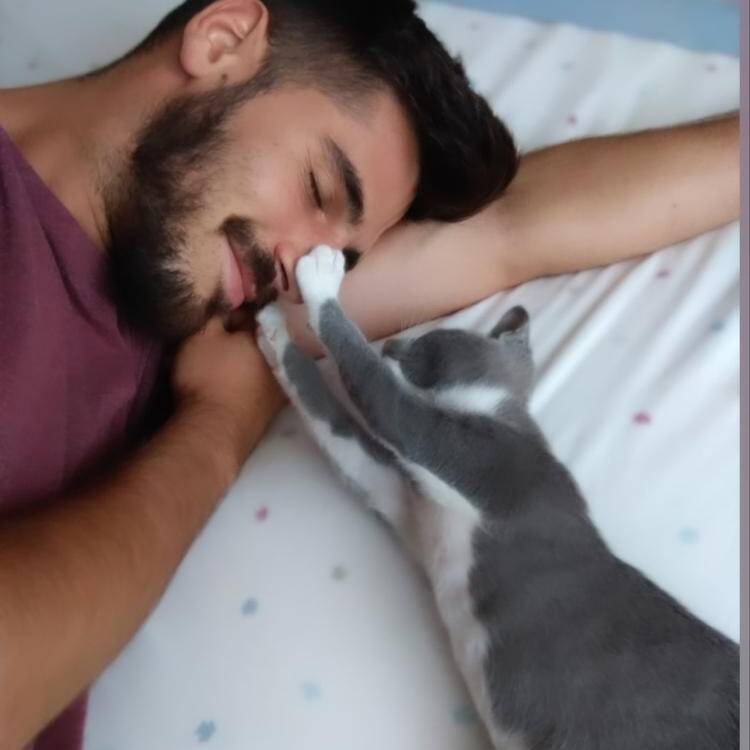 Foto de perfil de Adam