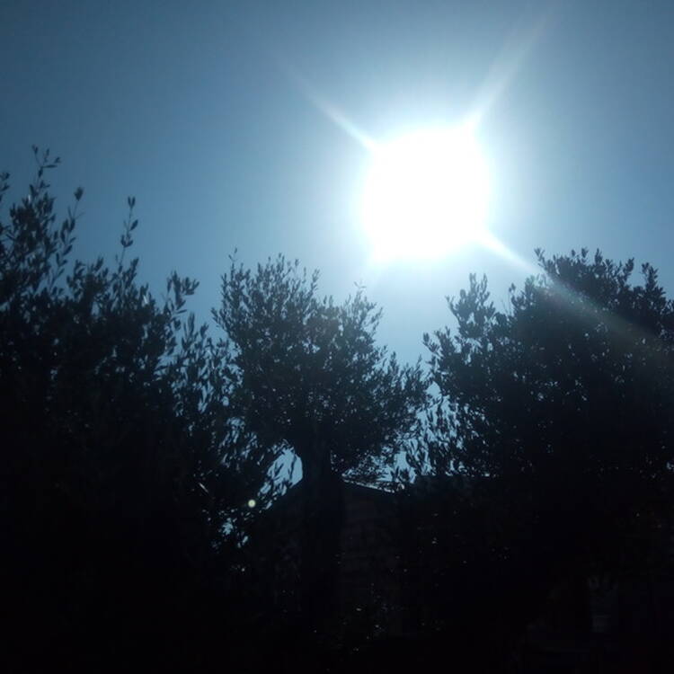 Foto de perfil de Jordi