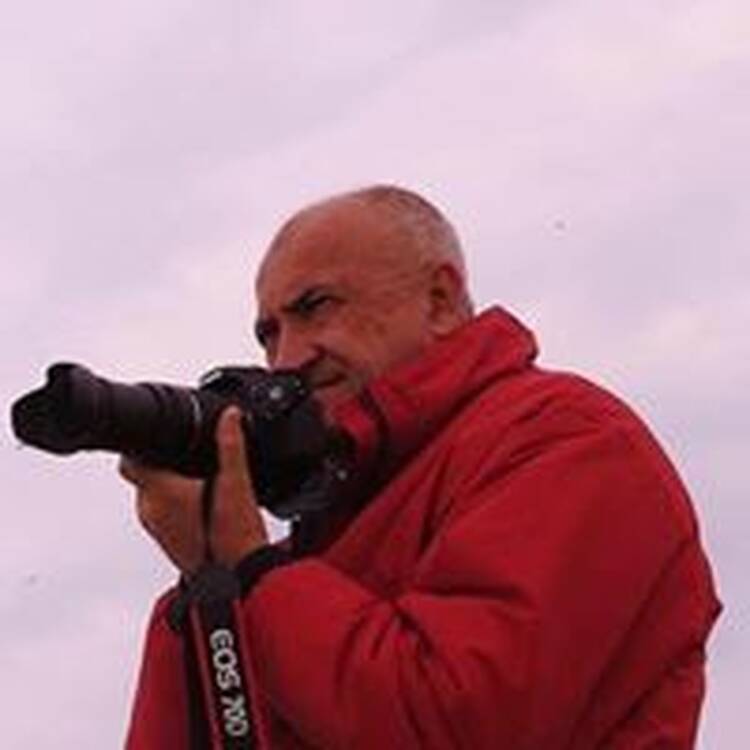 Foto de perfil de Jose Luis Latorre